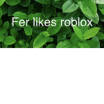 Fern likes roblox