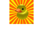 ducks_united!!!