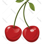 Cherry's Queens