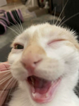 GAMING GOD GROUP FOR EPICGAMERS