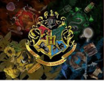 Fans de Harry Potter