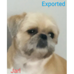 EXPORTED jarl