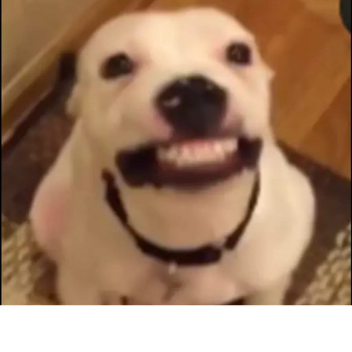 panas