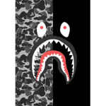 THE BAPE SHARKERS