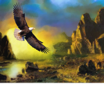fly eagle fly
