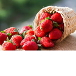 Strawberrys Foreverr