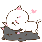 Hi im ok and you