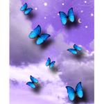 The fly high Butterflys