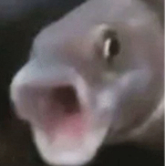 stanky fishy squad