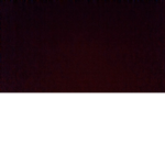 XXSQAUDOPXX