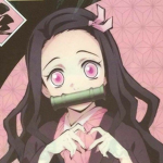 Ropas Nezuko