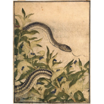 Tōkaidō ###