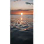 Peaceisbest
