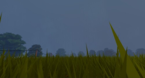 Rainy Field 