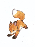 FoxyyStudioo