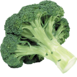 broccoli is disgusting and has bad taste