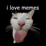 OG Meme Shirts Group Thumbnail