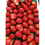 Strawberry pickers