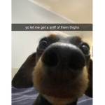 :):):):):):)