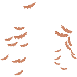 Orange Bat Aura