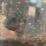 squidward the awesome fish