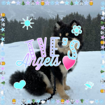 - tye’s angels -