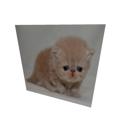 nozzie proximity promt clicker