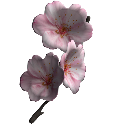 春 cherry blossom hairpiece 桜♡