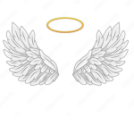 ~•The Halos•~