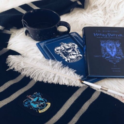 💙