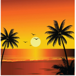 Sunshine Beach group