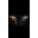 CatsAreCoool