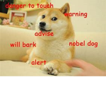 The Anxiety and Zander's Doge club