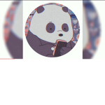 Panda squad x