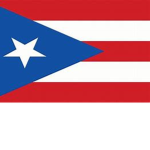 LOS BORICUAS ESTAMOS ONLINE