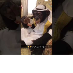 الحديقه