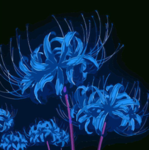 bluelily
