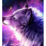 Galaxy_Gamer Official Fan Group