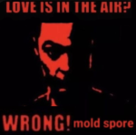 Moldalicious