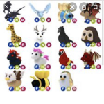 Buying adopt me Neon pets