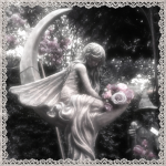 House of Bloom