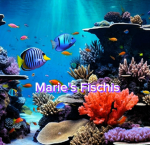 Marie's Fischis