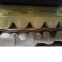 EGG