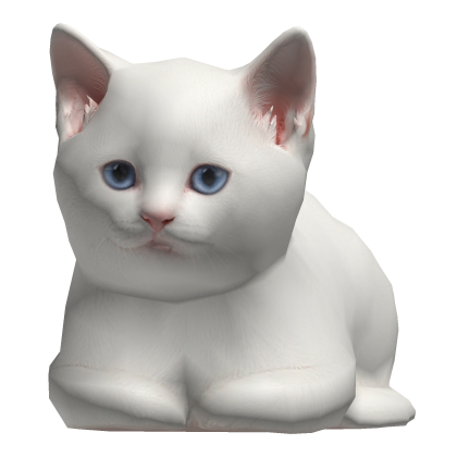 Cat Kitten on Head Roblox item