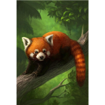 Ailurus Clan of Red Pandas