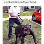 Meme group 100