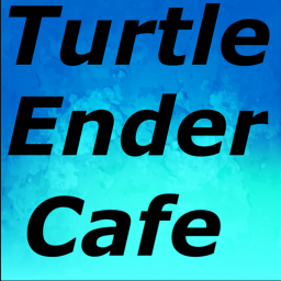 Turtle Ender Cafe Interview