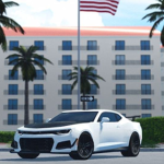 SW FL VIPS