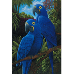 The Blue Bird Hyper Team