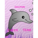 Dolphin Cheer Team